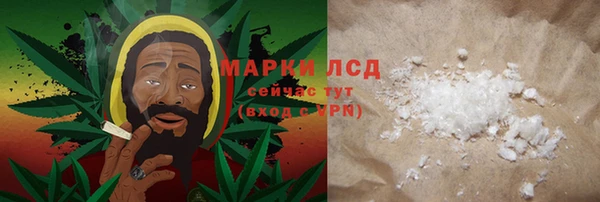 стафф Аркадак