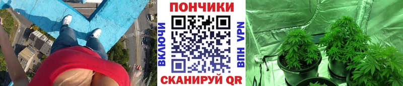 Канабис Ganja  Тосно 